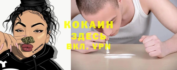 прущий лед Абаза