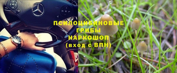 прущий лед Абаза